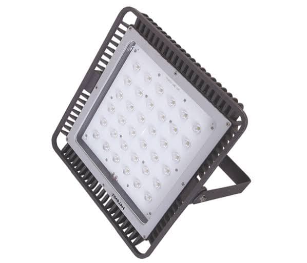 Flood Light Rent